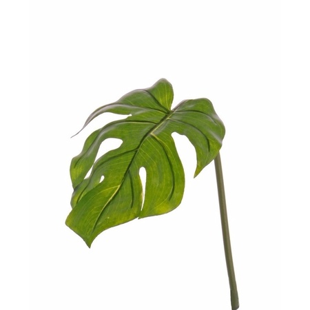Monstera leaf spray 55 cm green