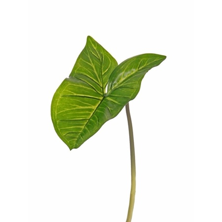 Kunstplant tak bladgroen - Aronskelkblad - 53 cm