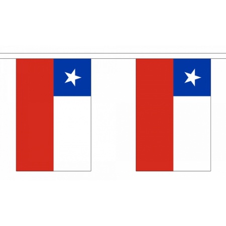 Vlaggenlijn Chili 9 m