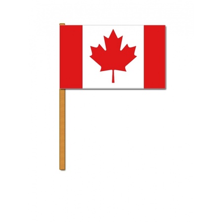 Luxe grote zwaaivlaggen Canada 30 x 45 cm