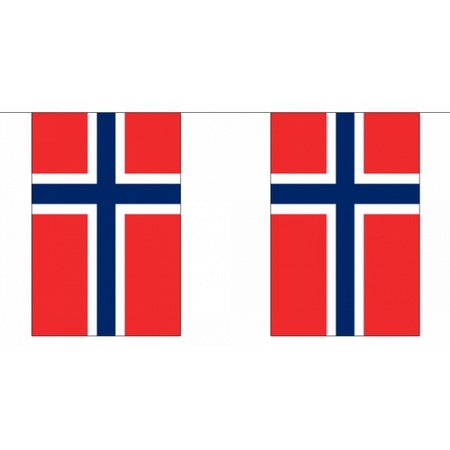 Vlaggenlijn Noorwegen 9 meter