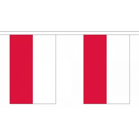 Vlaggenlijn Polen 9 meter