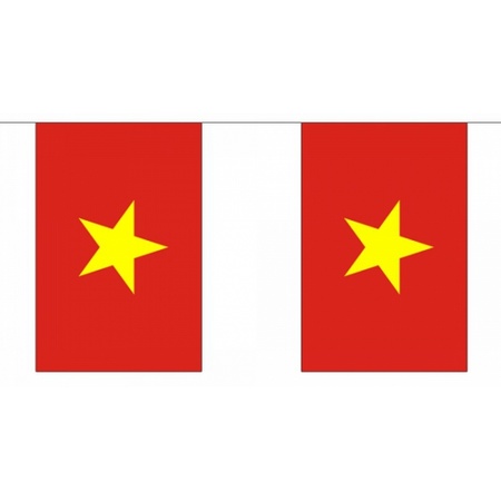 Vlaggenlijnen Vietnam 9 meter