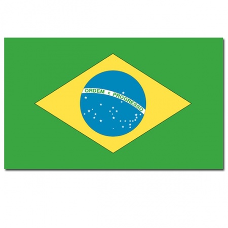 Brasilian flag de luxe