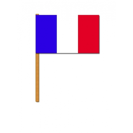 Luxe hand flag France - 30 x 45 cm