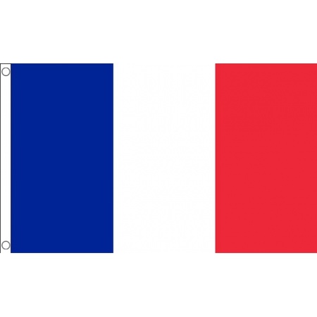 Mini supporters landen vlag Frankrijk 60 x 90 cm