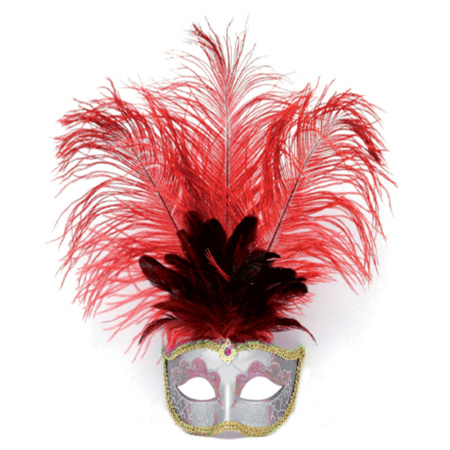 Carnavals oog masker rode veren