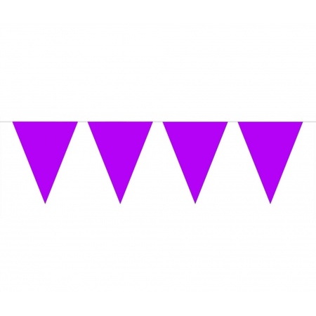 Purple bunting 10 meters