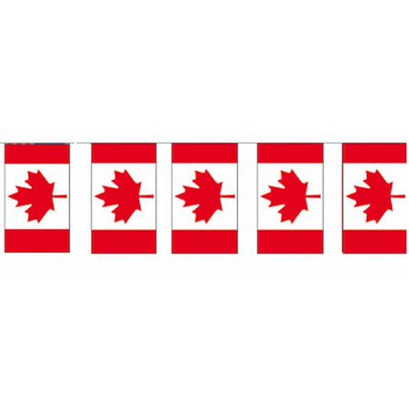 Papieren slinger Canada 4 meter landen decoratie