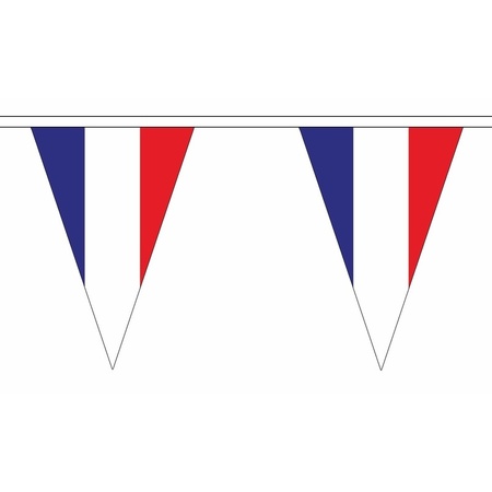 France triangle bunting 20 meter