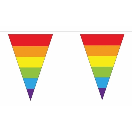 Rainbow triangle bunting 20 meter