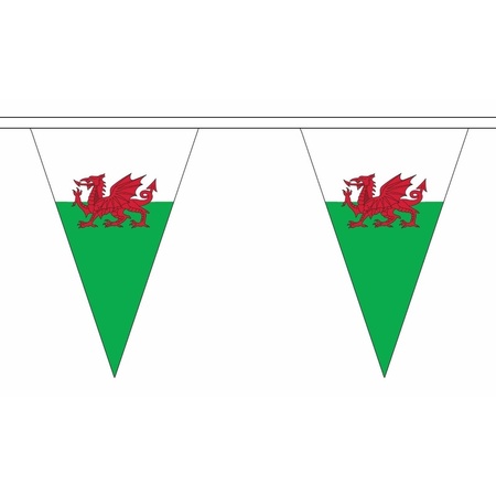 Luxe Wales vlaggenlijn voor binnen en buiten