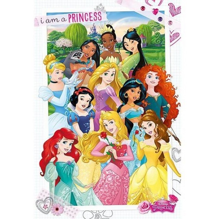 Decoratie poster prinsessen 61 x 91,5 cm