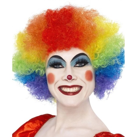 Regenboog clown verkleed pruik voor volwassenen