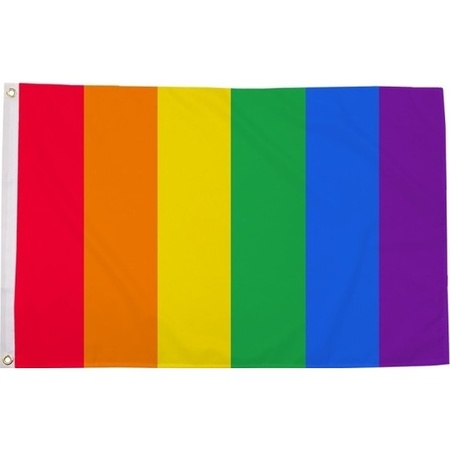 Rainbow LGBT flag 90 x 150 cm vertical stripes