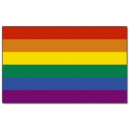 Rainbow flag 90 x 150 cm