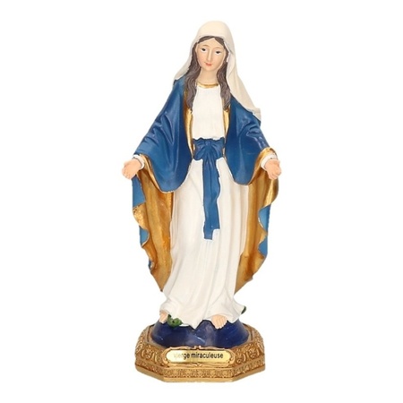 Religieus icoon Maagd Maria beeld 22 cm