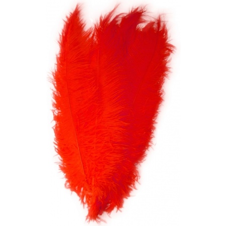 Large feathers 50 cm red