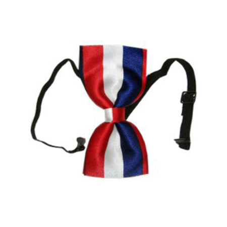 Red/white/blue fancy dress bow tie 12 cm for women/men