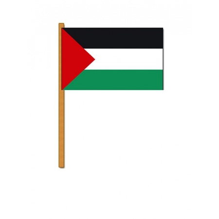 Set van 2x stuks luxe zwaaivlag/handvlag Palestina thema 30 x 45 cm