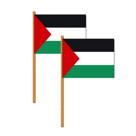 Set of 2x pieces luxe hand flag Palestine 30 x 45 cm