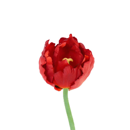 Nep Tulp rood deluxe 25 cm