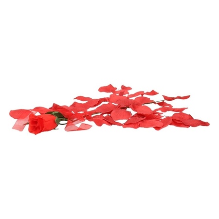 Valentijnscadeau voordelige rode roos met rozenblaadjes