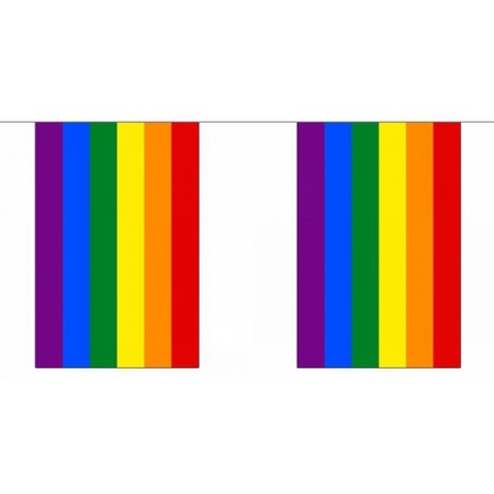Polyester regenboog vlaggenlijn 9 m