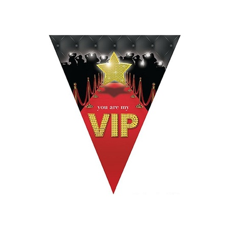 VIP bunting flags decoration 5 meters