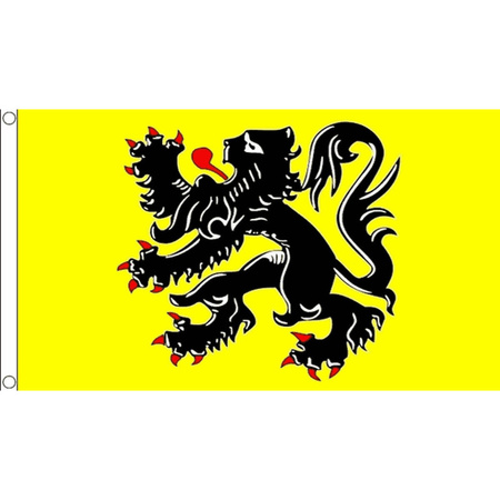 Aantrekkingskracht Verkoper Echt Belgie feestartikelen, Gele vlag met zwarte leeuw Vlaanderen,  Feestartikelen-shop.nl