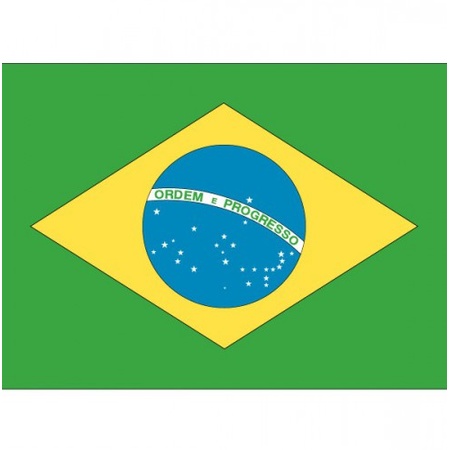 Flag Brazil stickers 7.5 x 10 cm