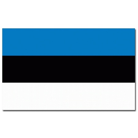 Flag Estonia 90 x 150 cm