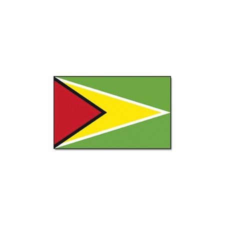 Flag Guyana 90 x 150