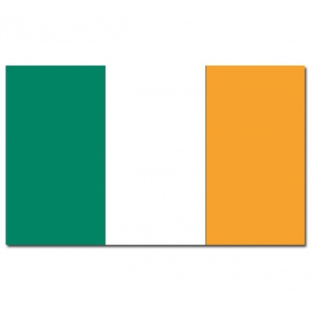 Vlag Ierland 90 x 150 cm feestartikelen