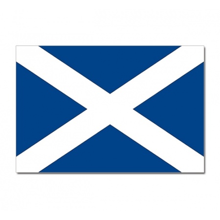 Flag Scotland 90 x 150 cm