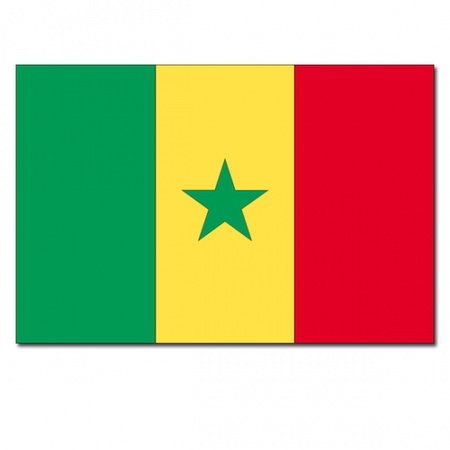 Vlag Senegal 90 x 150 cm feestartikelen