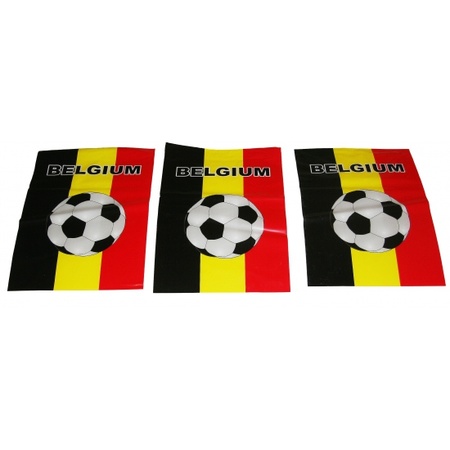 WK vlaggenlijn Belgie 10 meter