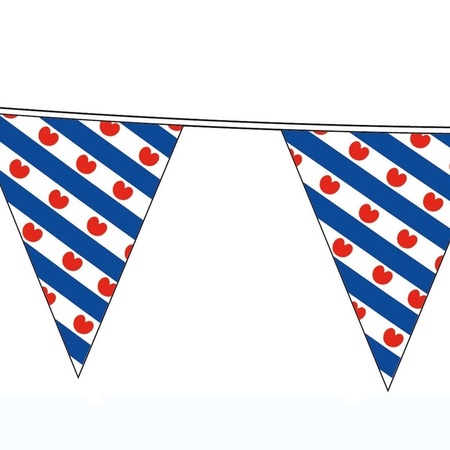 Friesland bunting flags