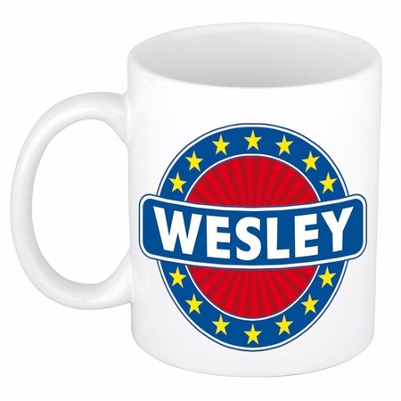 Namen koffiemok / theebeker Wesley 300 ml
