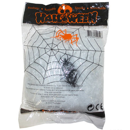 Wit spinnen web met spinnen