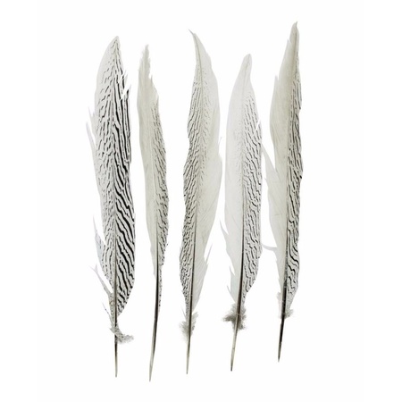 Pheasant feather 38 cm 5 pieces
