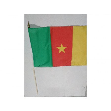 Hand flag Cameroon