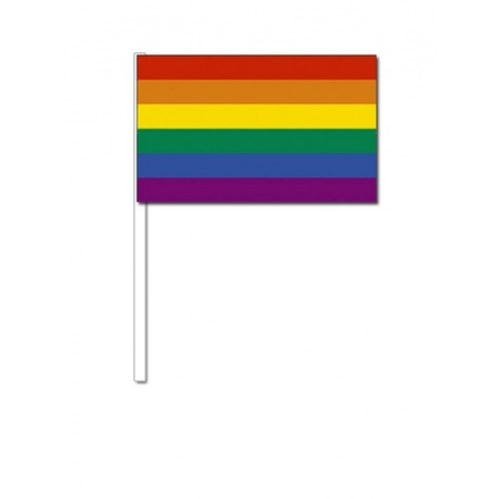 Zwaaivlaggetje/handvlaggetje met regenboog 12 x 24 cm