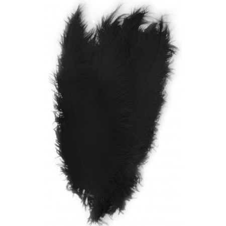 Large feathers 50 cm black